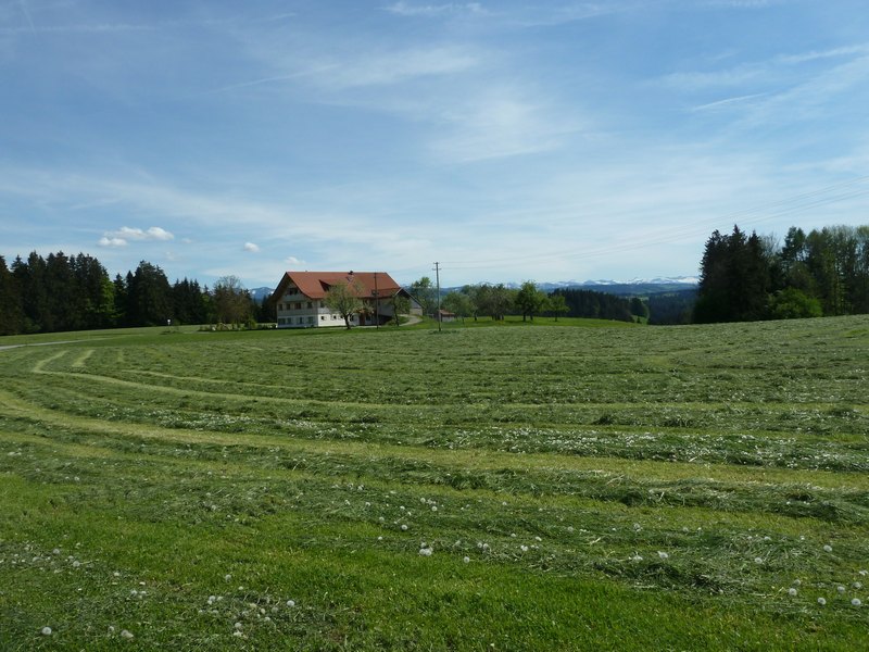 p1040429.jpg