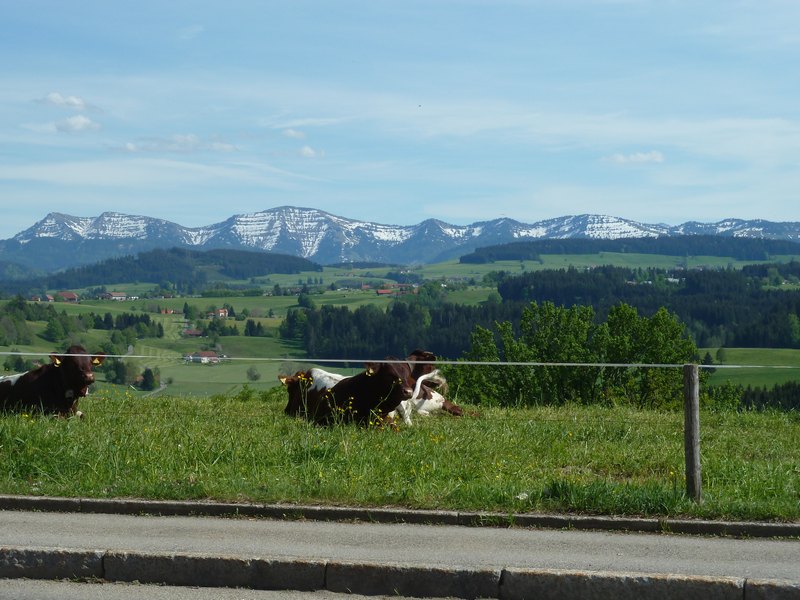 p1040431.jpg