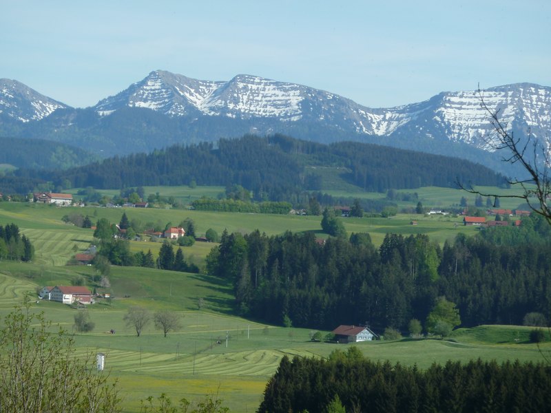p1040441.jpg