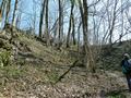 p1050006.jpg