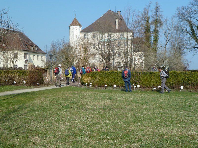 p1040947.jpg