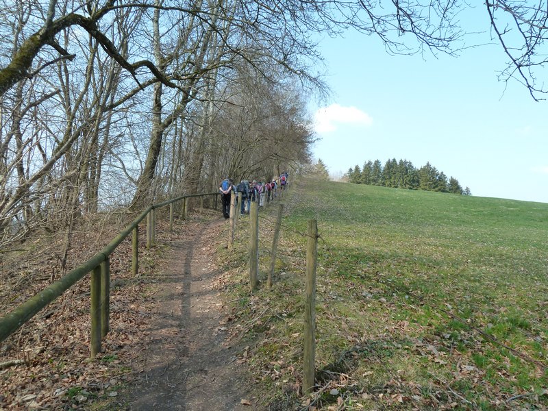 p1040978.jpg
