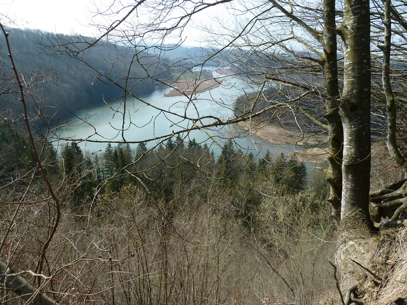 p1040981.jpg