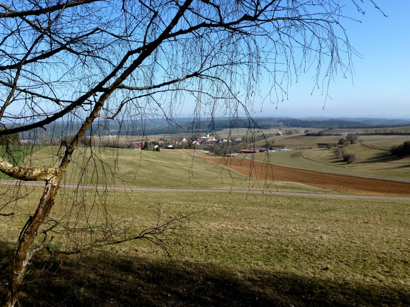 p1020860.jpg