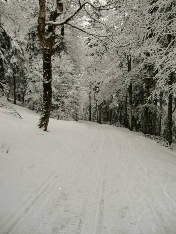 alberschwende1.jpg