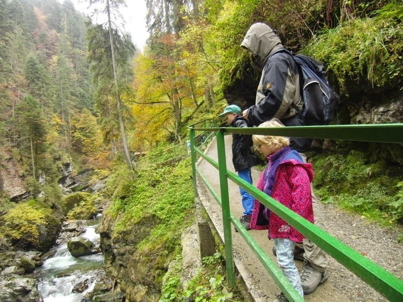 2014_1011_113729.jpg