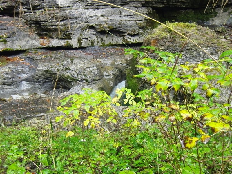 2014_1011_114024.jpg