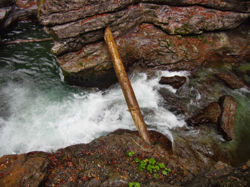 2014_1011_114211.jpg