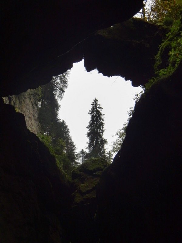 2014_1011_114603.jpg