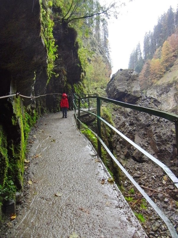 2014_1011_115634.jpg