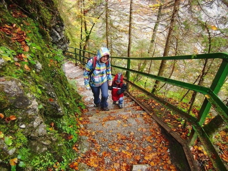 2014_1011_122313.jpg
