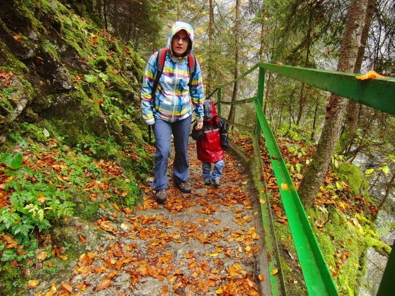 2014_1011_122326.jpg