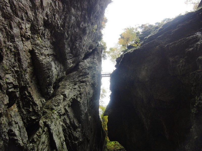 2014_1011_123808.jpg