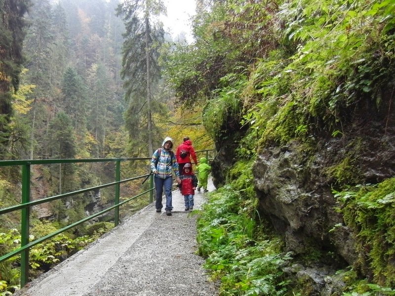 2014_1011_125253.jpg