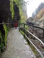2014_1011_115634.jpg