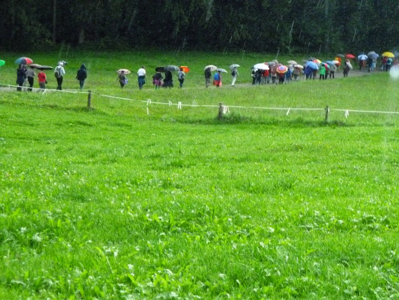 p1210737.jpg