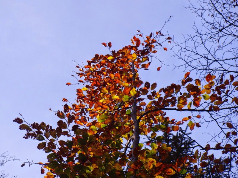 2014_1012_134906.jpg