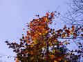 2014_1012_134906.jpg