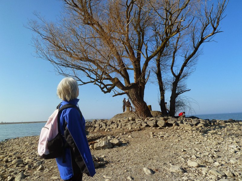 p1190144.jpg