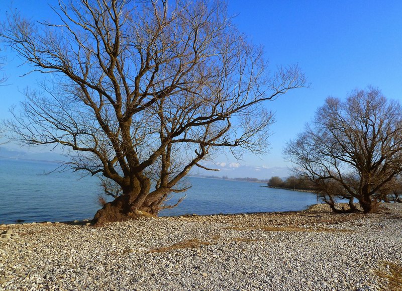 p1190155.jpg