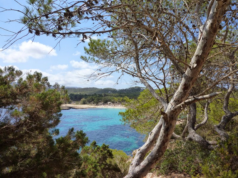 ibiza42.jpg