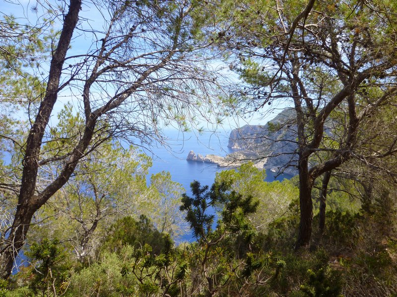 ibiza49.jpg