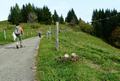 p1220100.jpg