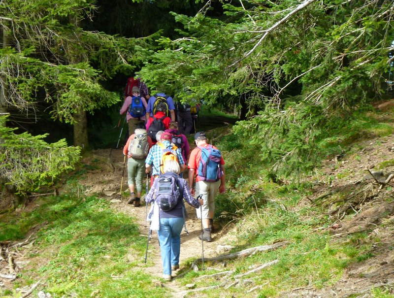 p1220130.jpg