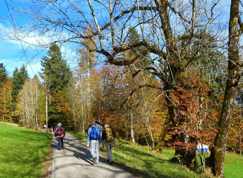 p1230278.jpg