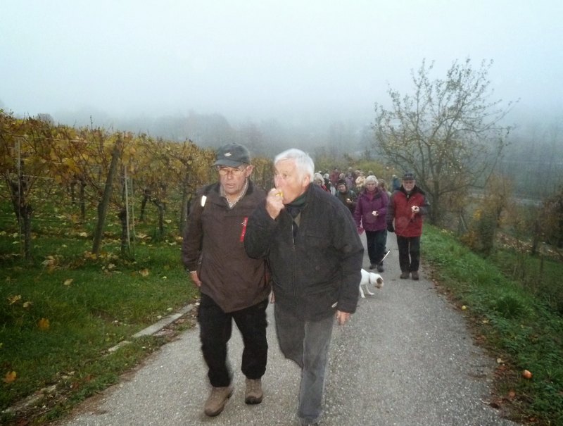 p1230442.jpg