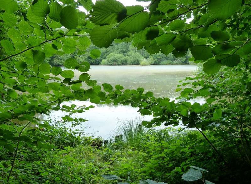 p1200850.jpg