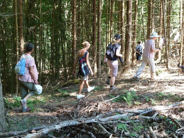 p1270863.jpg