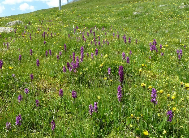 p1270616.jpg