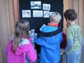 img_4260.jpg