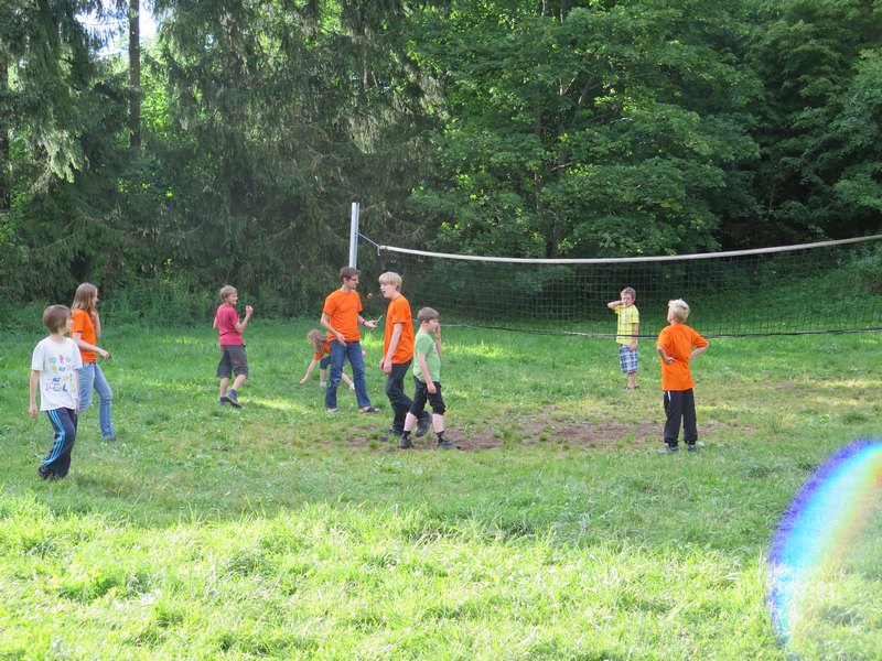 51464_volleyball.jpg