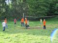 51464_volleyball.jpg