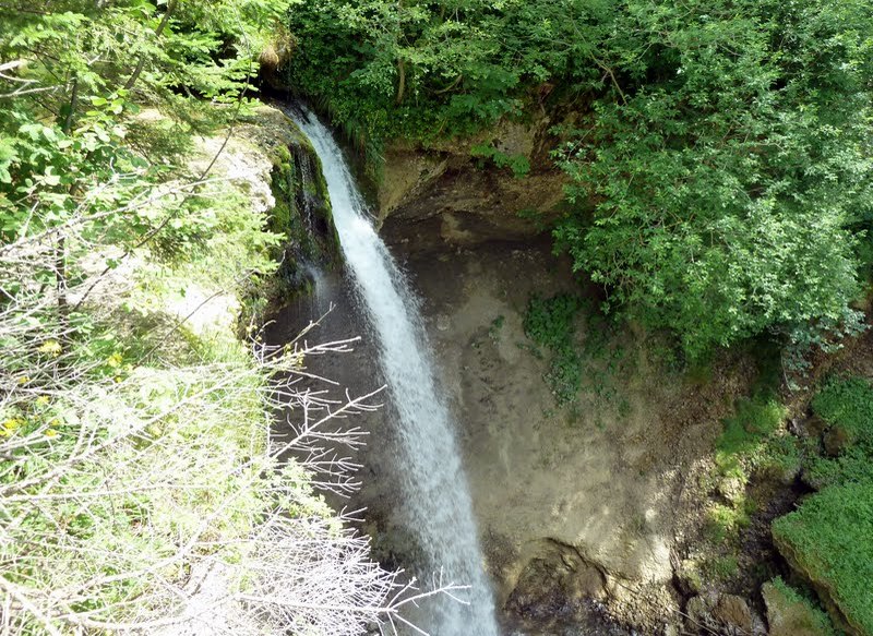 p1260383.jpg