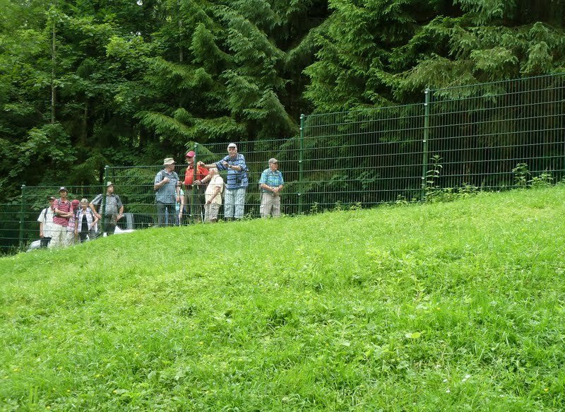 p1260415.jpg
