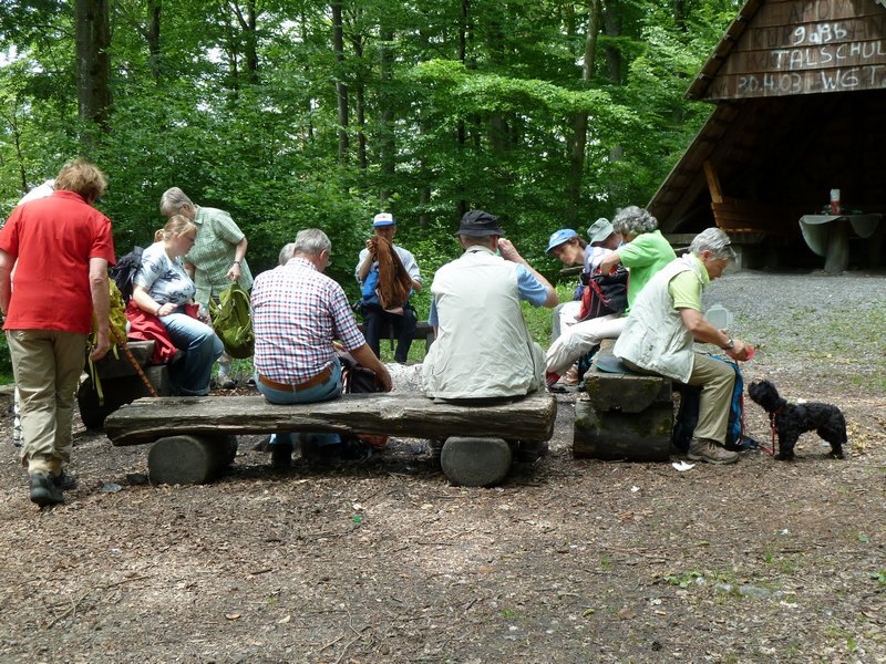 p1260234.jpg