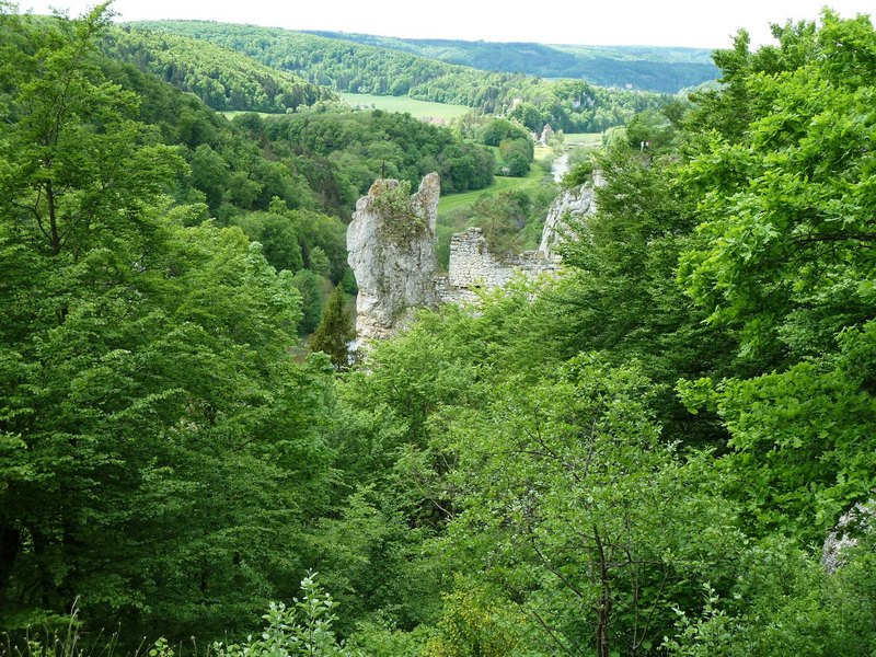 p1260027.jpg
