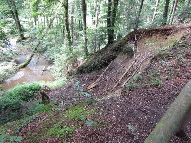 05.jpg