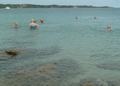 p1290950.jpg