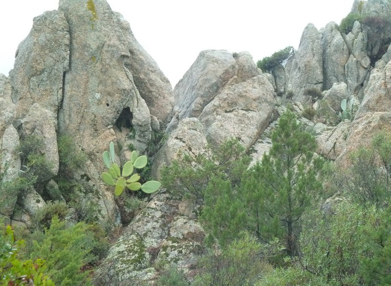 p1300520.jpg
