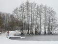 p1310773.jpg