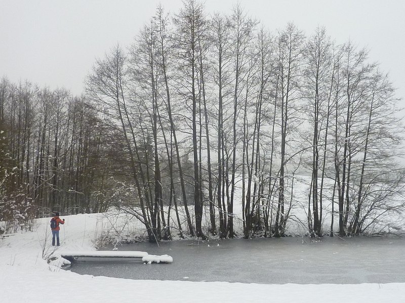 p1310773.jpg