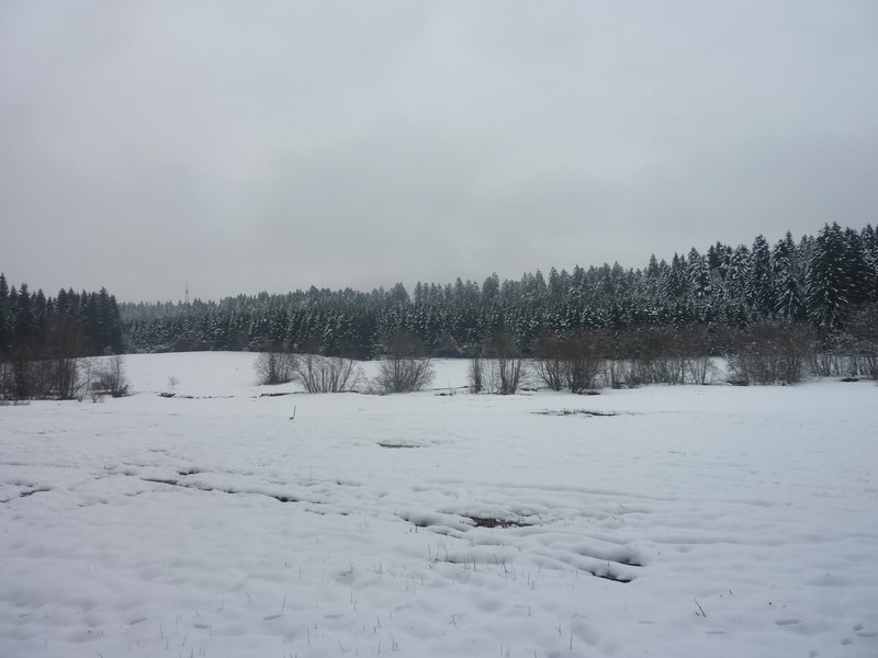 p1310791.jpg