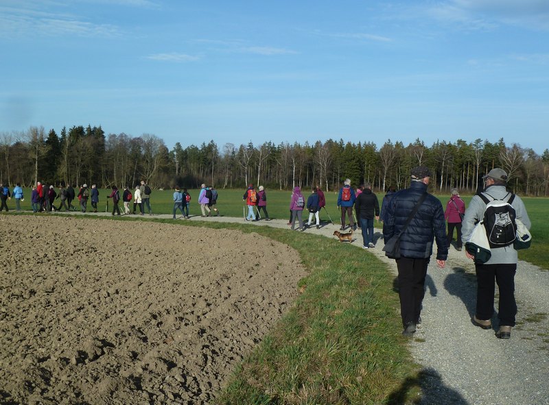 p1310051.jpg