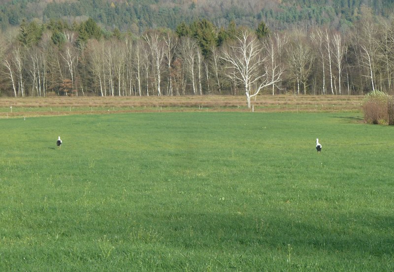 p1310053.jpg