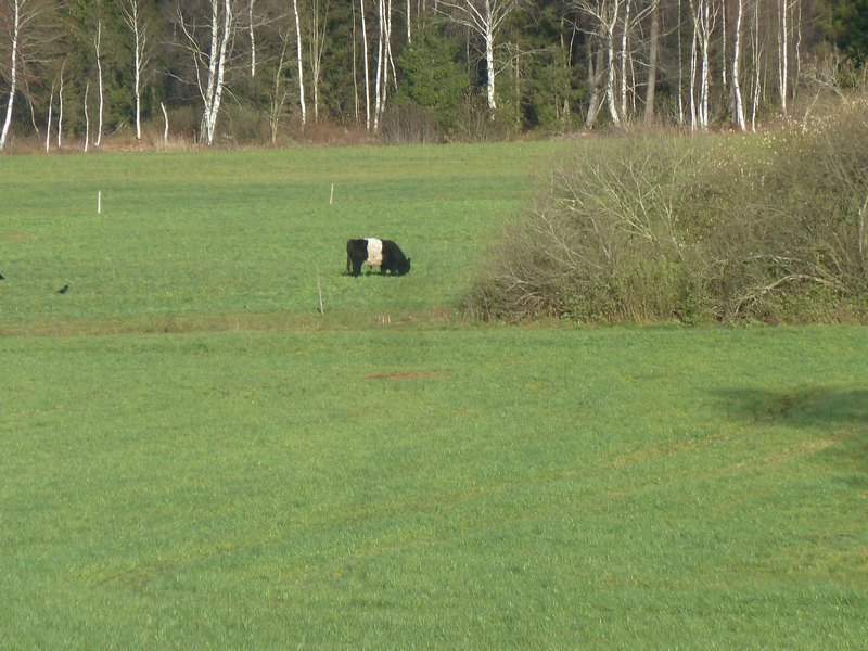 p1310057.jpg