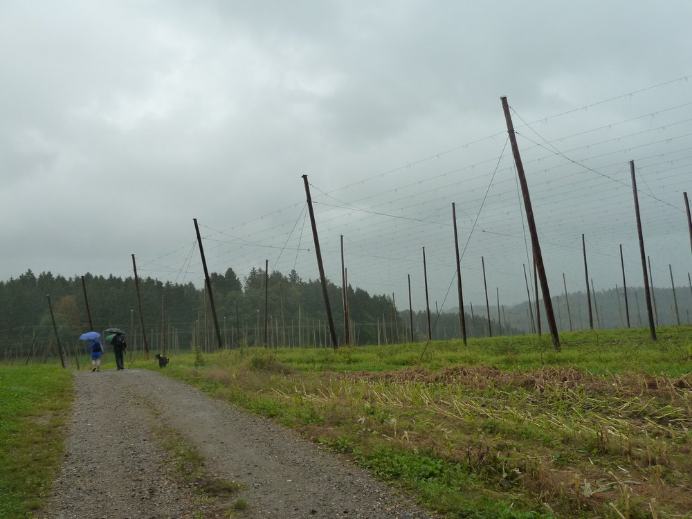 03p1080841.jpg